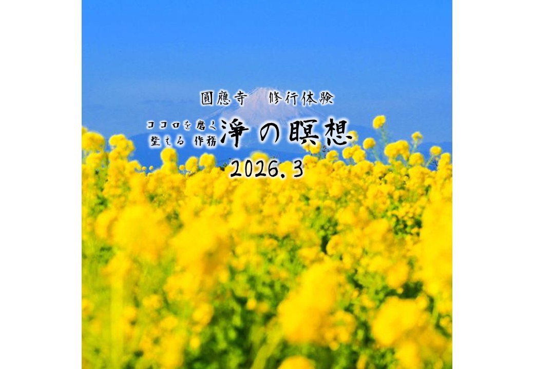 〜淨の瞑想(meditation)〜 ココロを磨く、整える 作務　2026.3